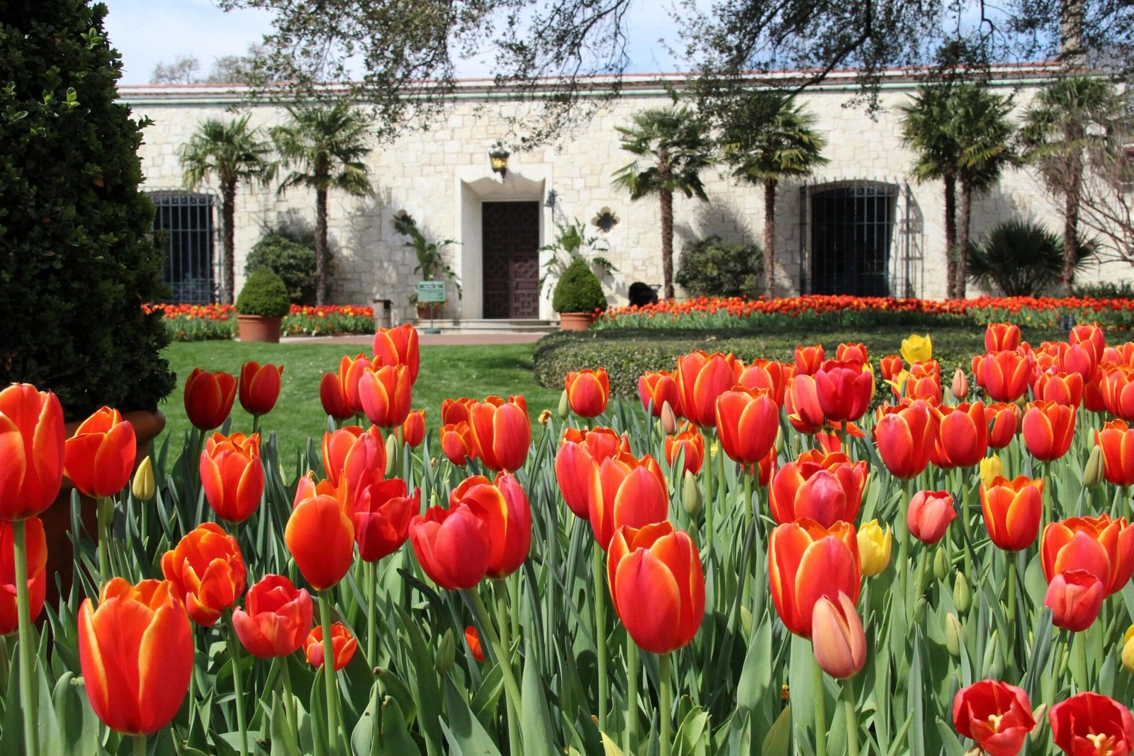 Gardening & Landscaping